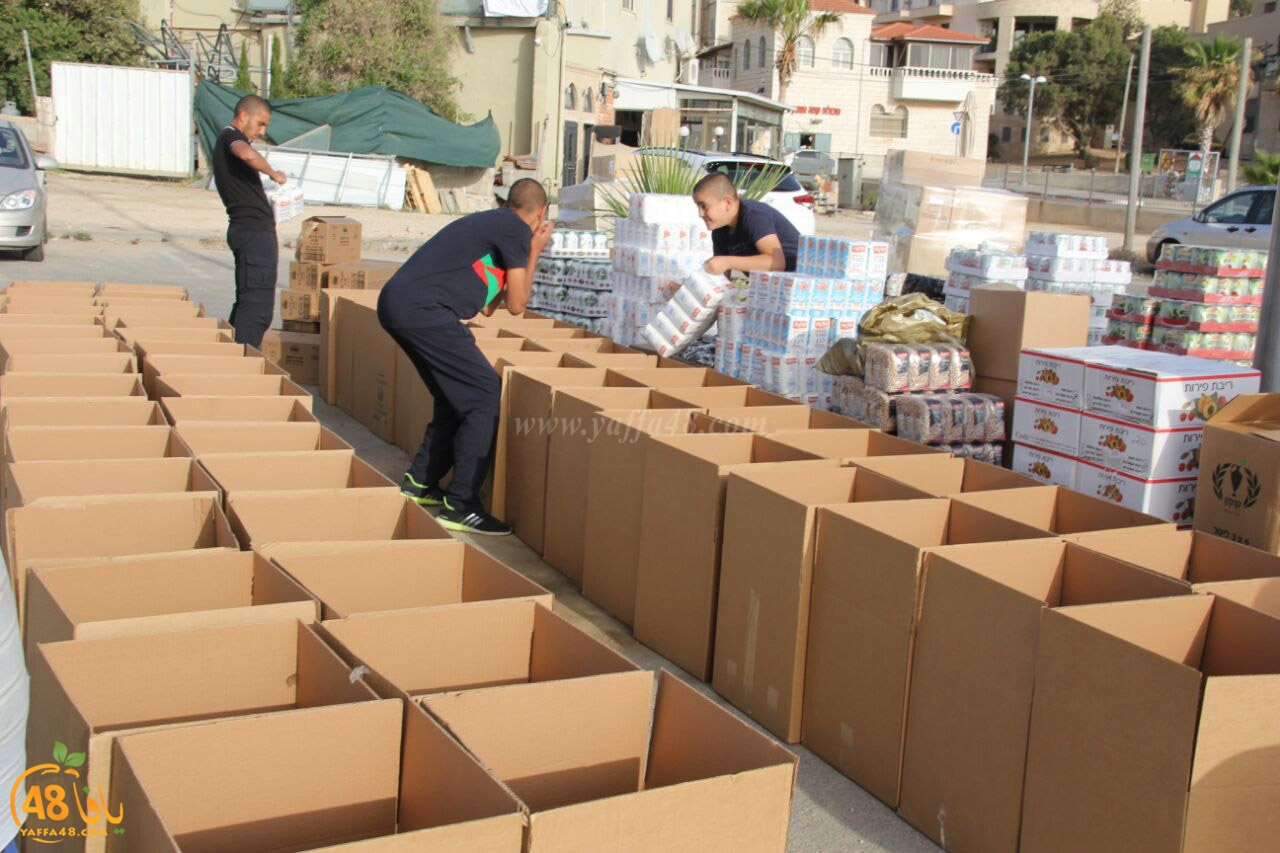 jami3ya torodya (12).jpg